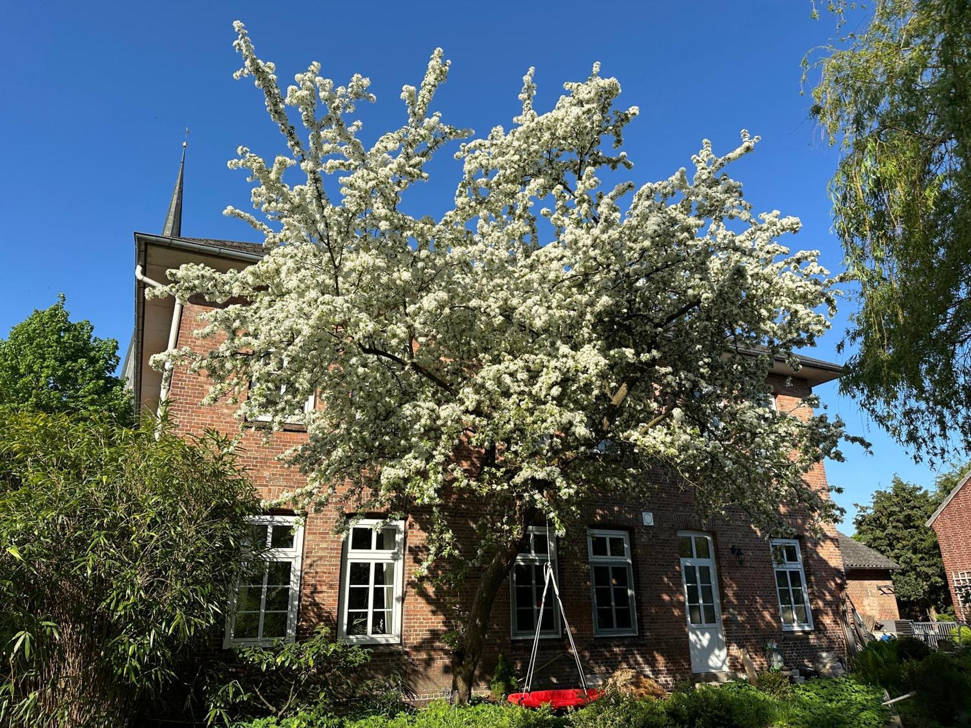 Barmstedt Altes Pastorat Bed & Breakfast エクステリア 写真