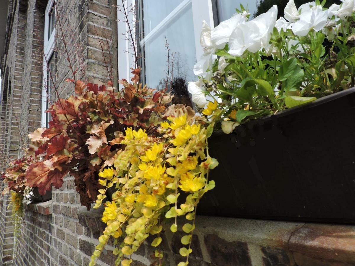 Barmstedt Altes Pastorat Bed & Breakfast エクステリア 写真